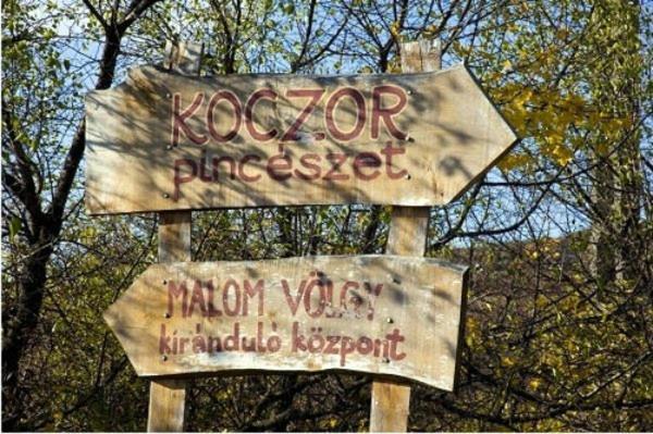 Koczor Winery & Guesthouse Balatonfüred Εξωτερικό φωτογραφία