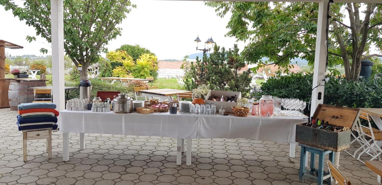 Koczor Winery & Guesthouse Balatonfüred Εξωτερικό φωτογραφία