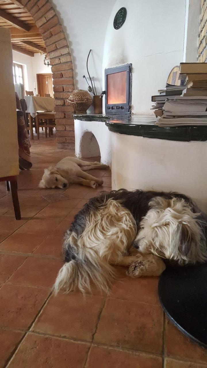 Koczor Winery & Guesthouse Balatonfüred Εξωτερικό φωτογραφία